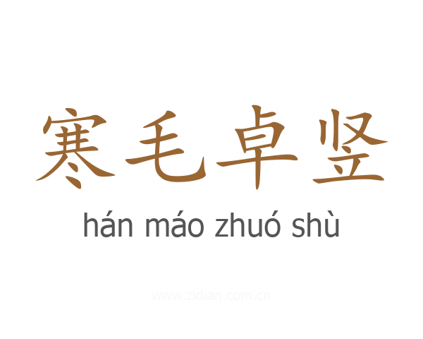 寒毛卓竖
