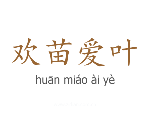 欢苗爱叶