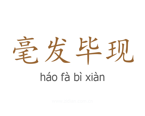 毫发毕现