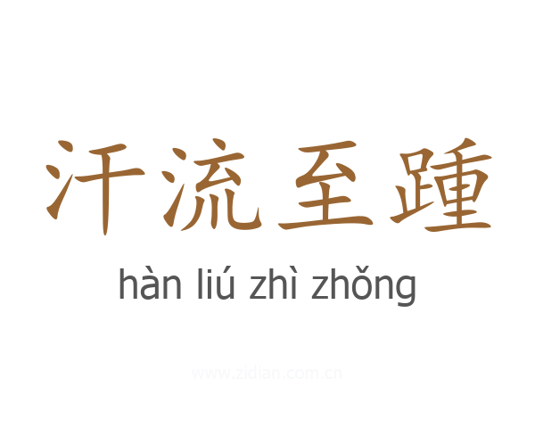 汗流至踵