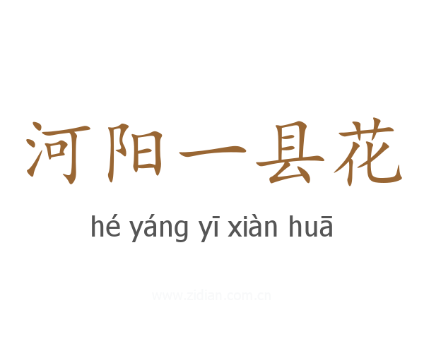 河阳一县花