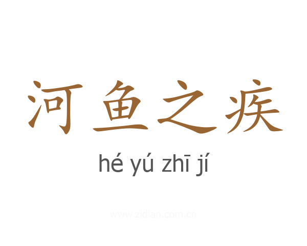 河鱼之疾