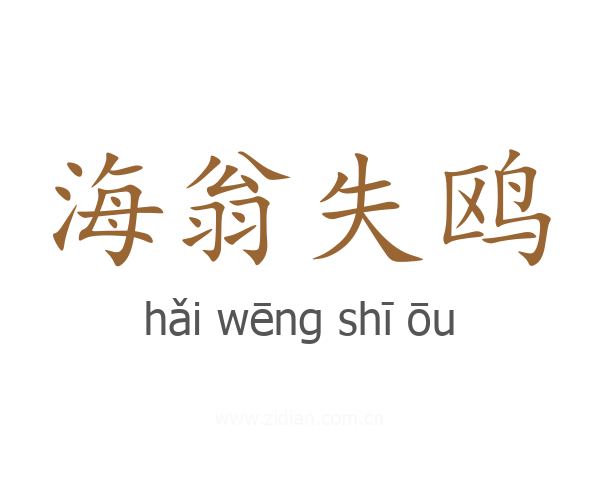 海翁失鸥