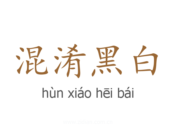 混淆黑白