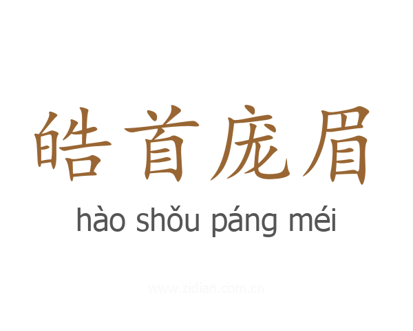 皓首庞眉