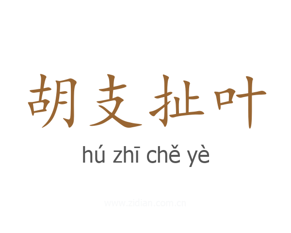 胡支扯叶