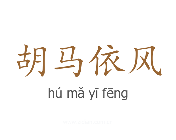 胡马依风