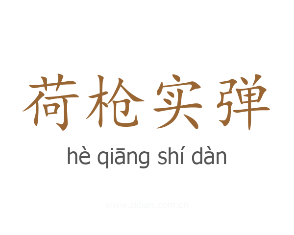 荷枪实弹