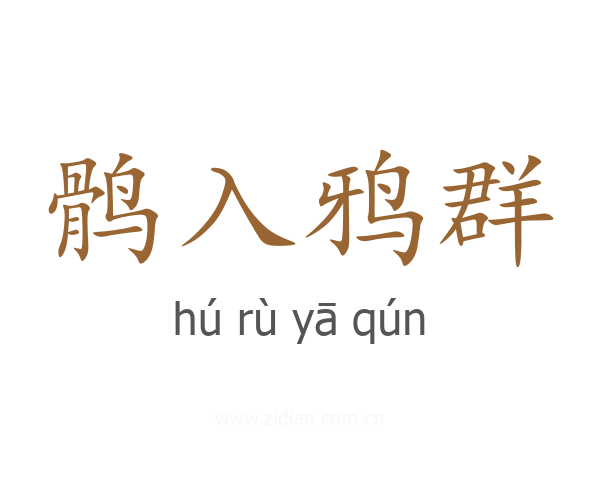 鹘入鸦群