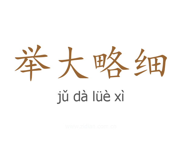 举大略细