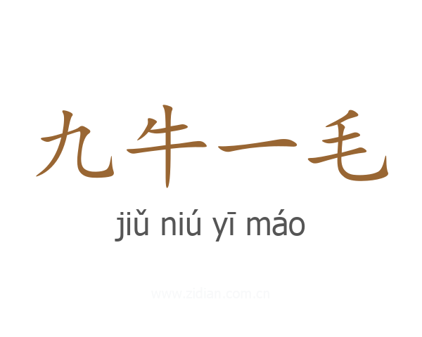 九牛一毛