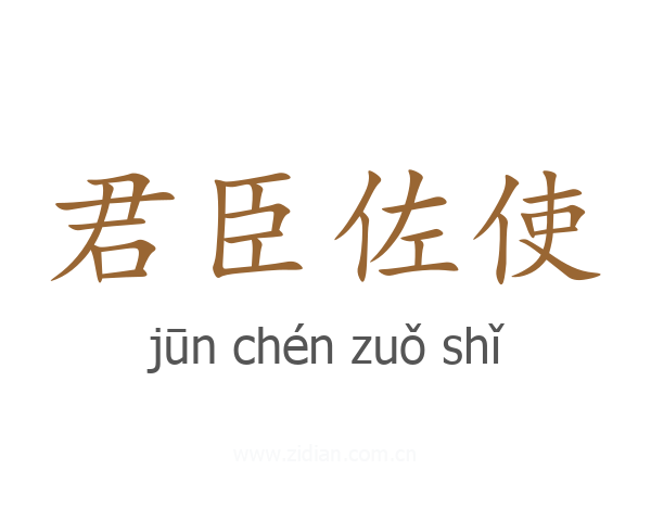 君臣佐使