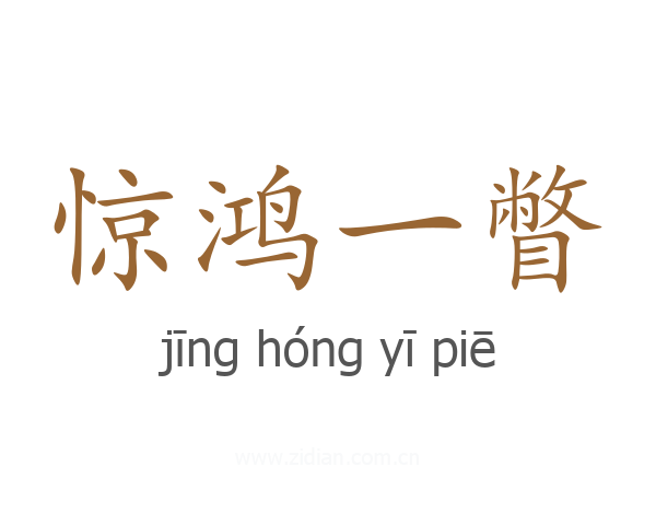 惊鸿一瞥