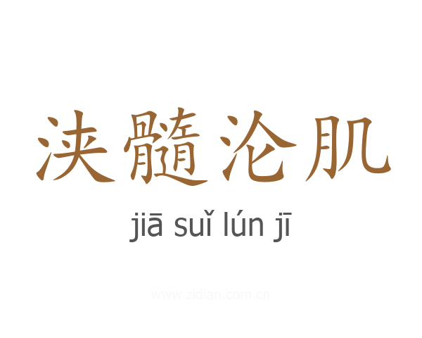 浃髓沦肌
