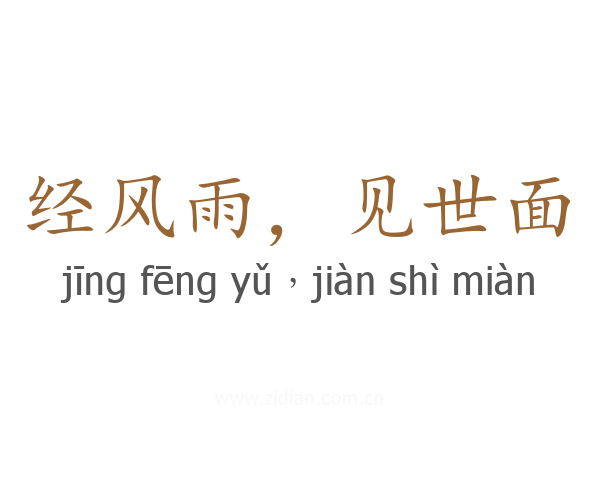 经风雨，见世面