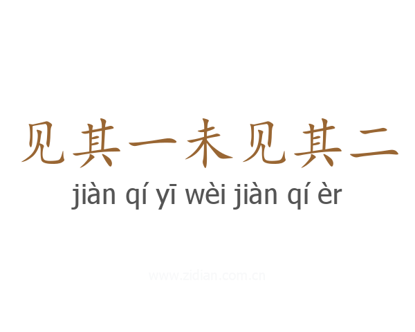 见其一未见其二