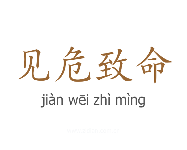 见危致命
