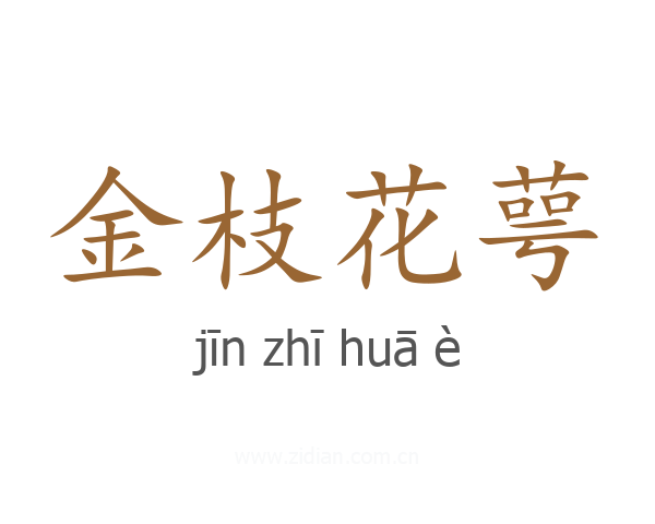 金枝花萼