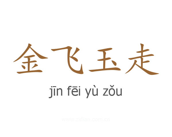 金飞玉走