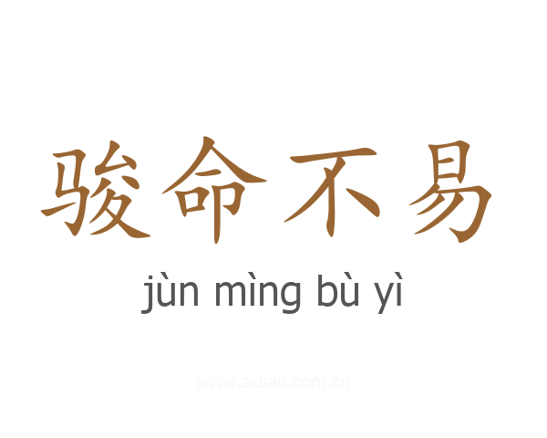 骏命不易