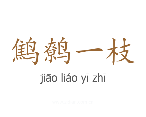 鹪鹩一枝