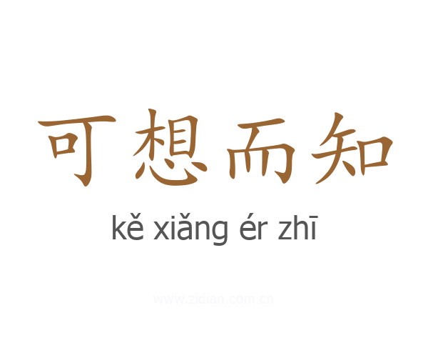 可想而知