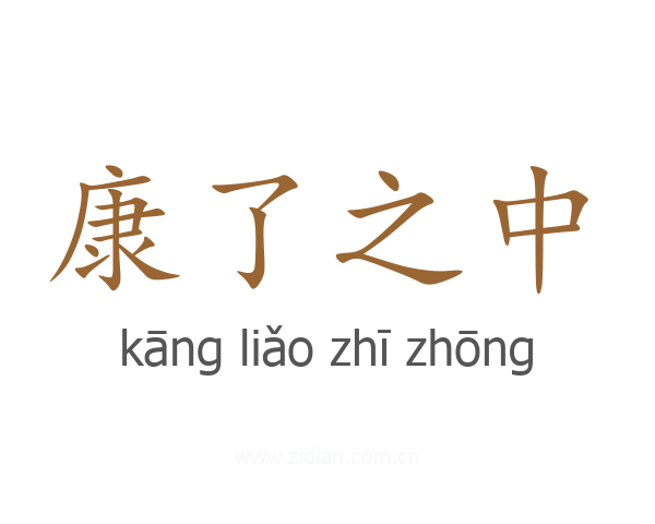 康了之中