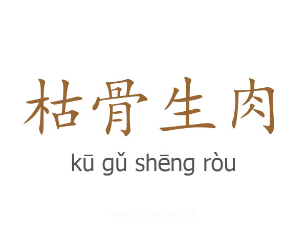枯骨生肉