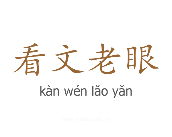 看文老眼