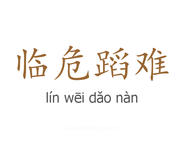 临危蹈难