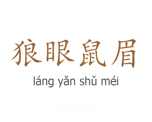 狼眼鼠眉