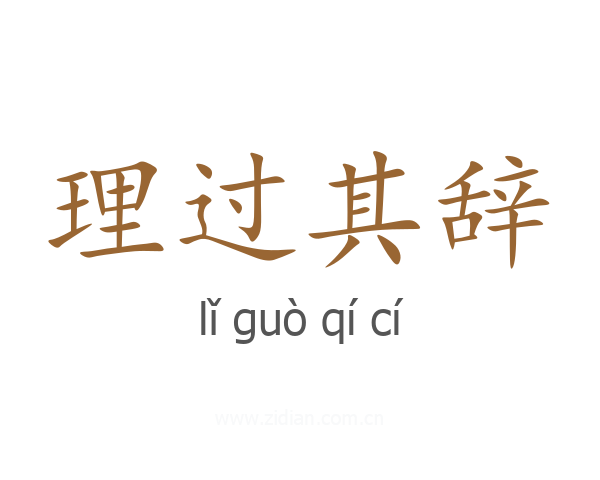 理过其辞