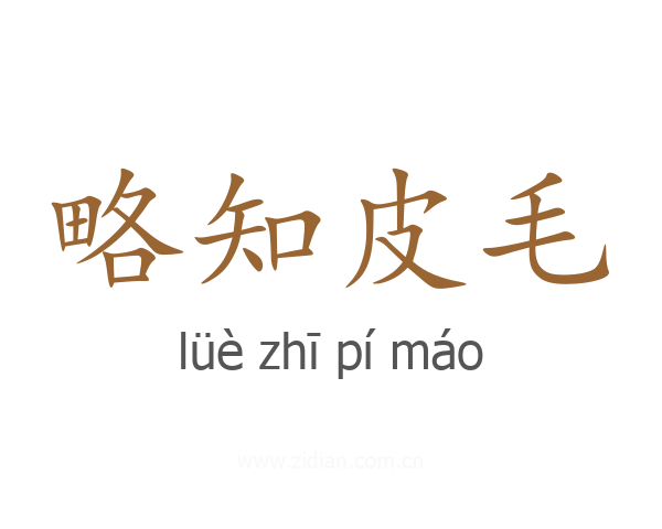 略知皮毛