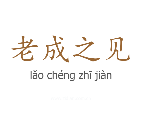 老成之见
