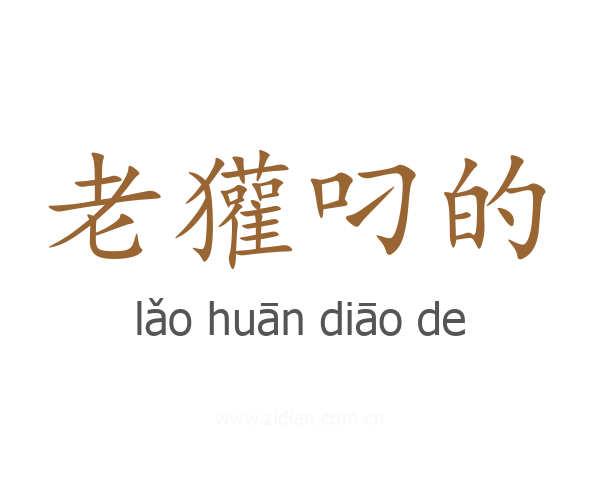 老獾叼的
