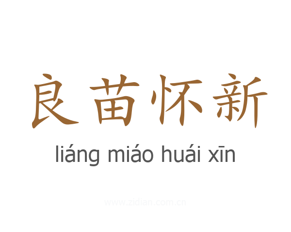 良苗怀新