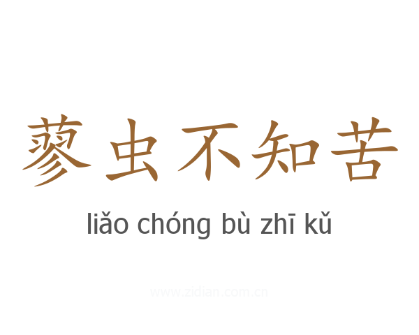 蓼虫不知苦