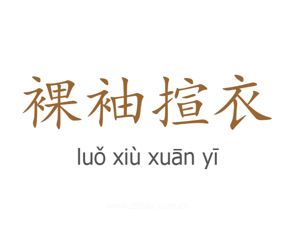 裸袖揎衣