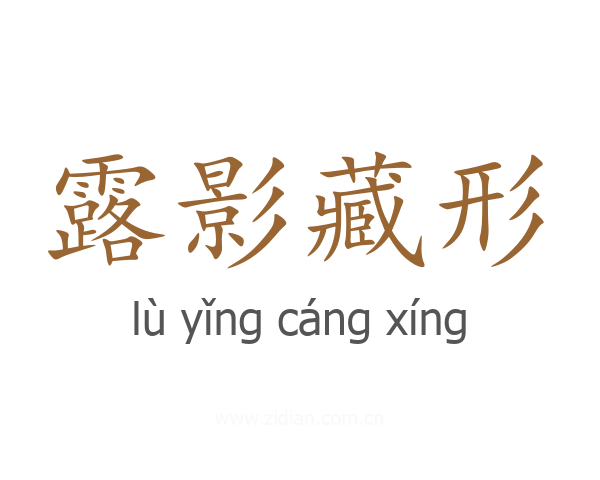 露影藏形