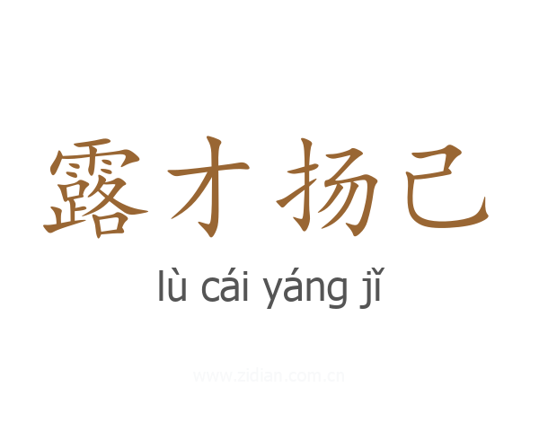 露才扬己