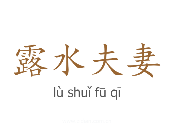 露水夫妻