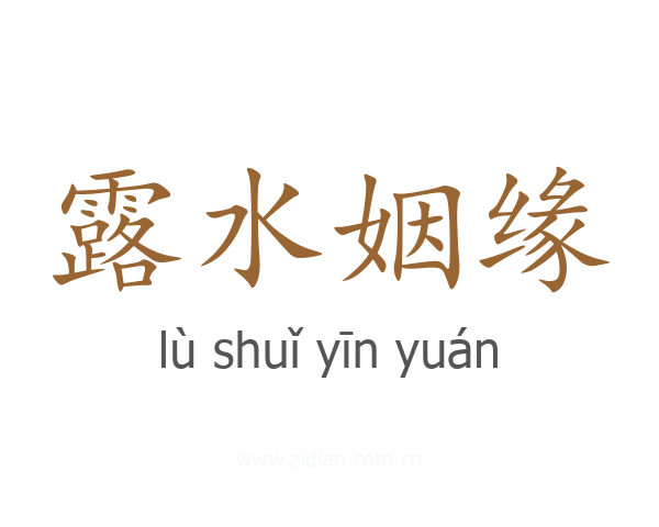 露水姻缘