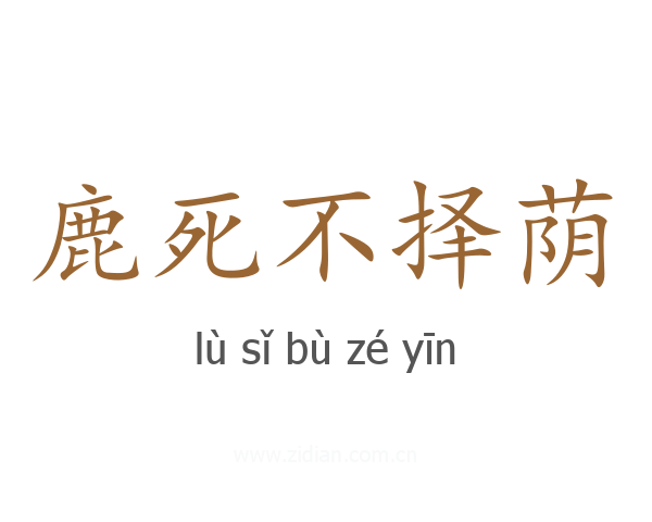 鹿死不择荫