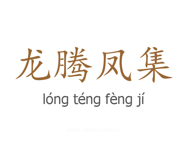 龙腾凤集