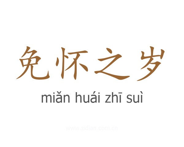 免怀之岁
