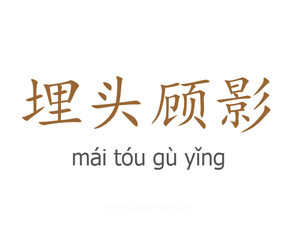 埋头顾影