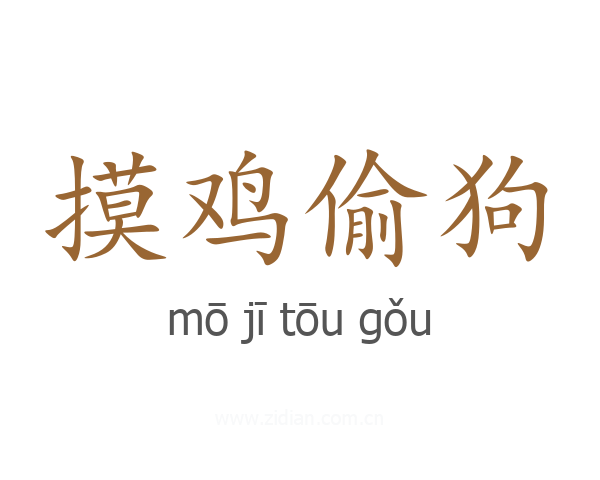 摸鸡偷狗