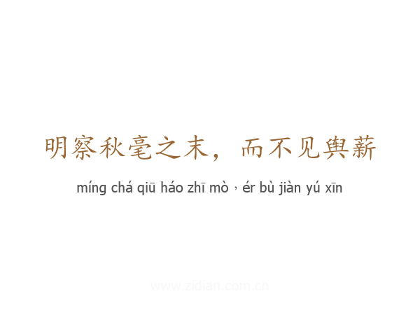 明察秋毫之末，而不见舆薪