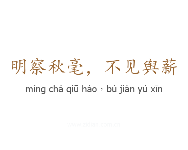明察秋毫，不见舆薪