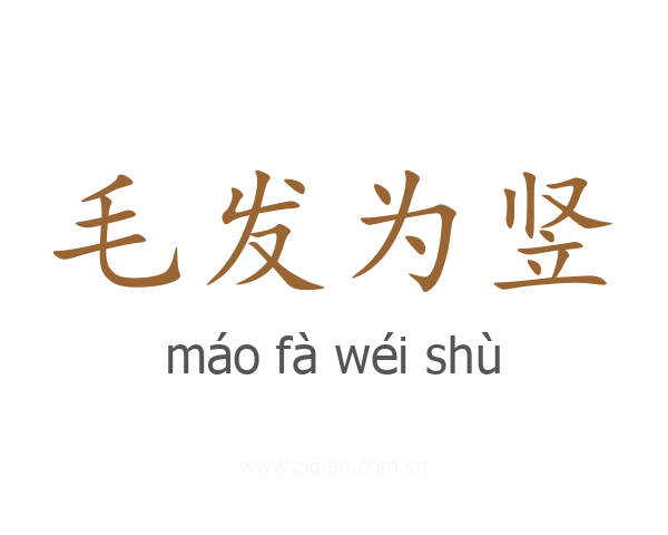 毛发为竖